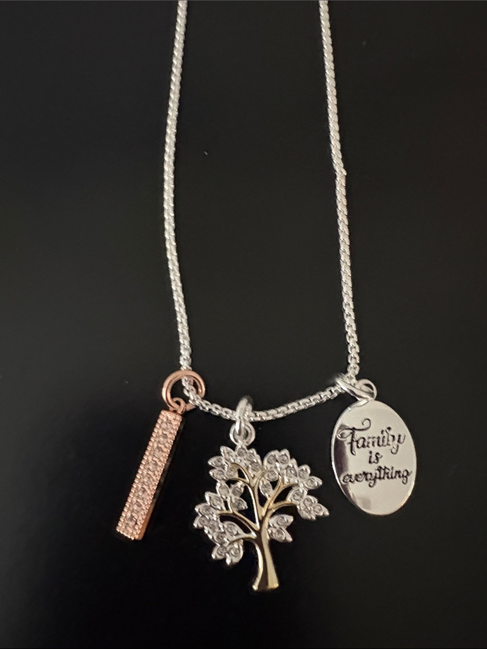 “Family is Everything” Silver Plated Necklace 18” plus 2” Extender - Like New